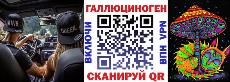 Купить  Кирсанов  Псилоцибиновые грибы Psilocybe 